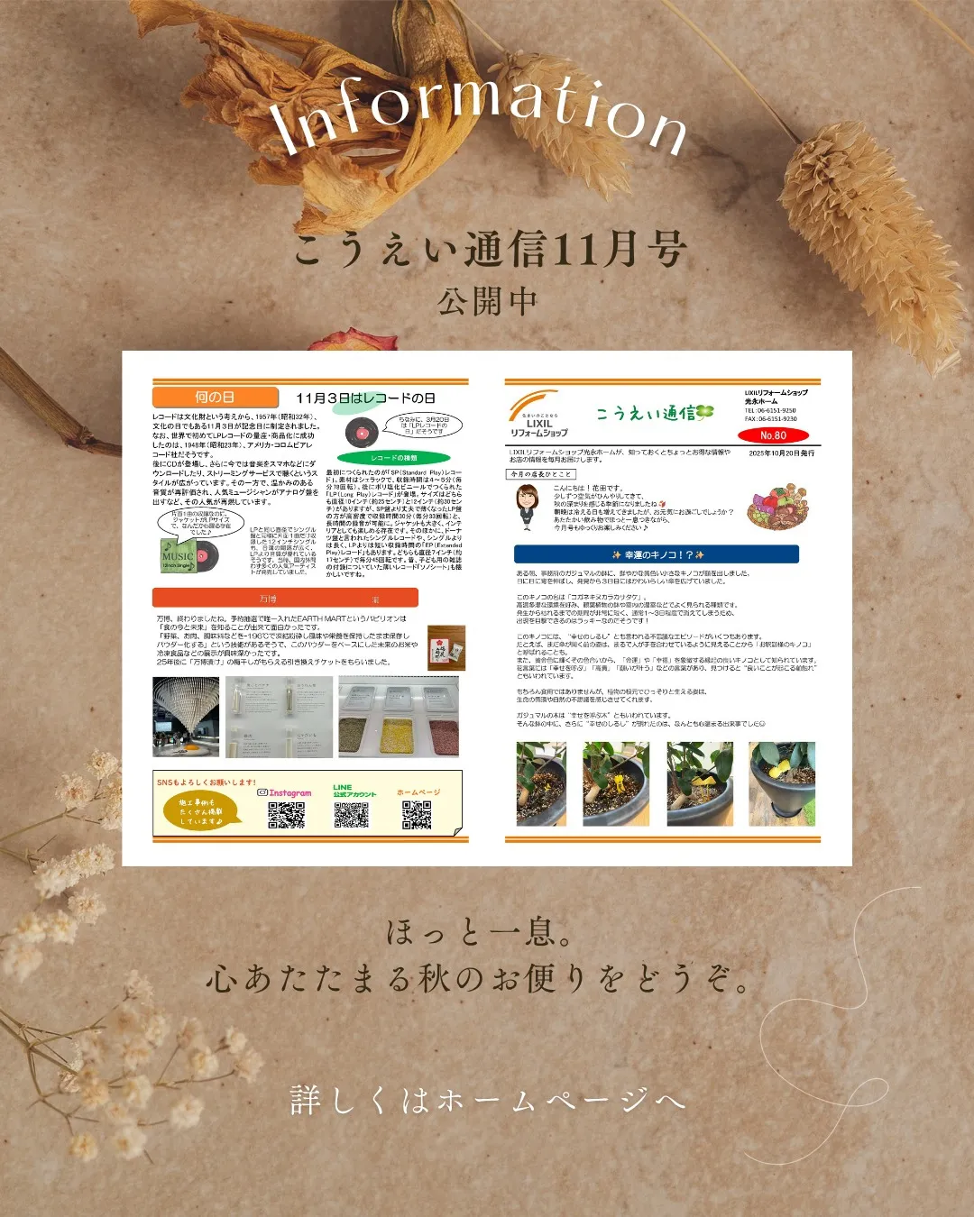 🍂【こうえい通信 11月号 公開しました!】🍂