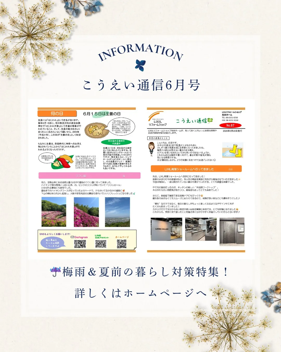 📮【こうえい通信 6月号 公開しました！】