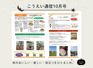 こうえい通信10月号を発行しました🍄｜秋の暮らしに役立つ情報をお届け